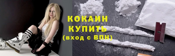 сатива Белокуриха