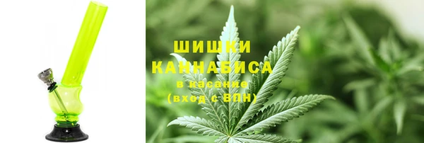 сатива Белокуриха