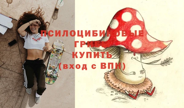 сатива Белокуриха