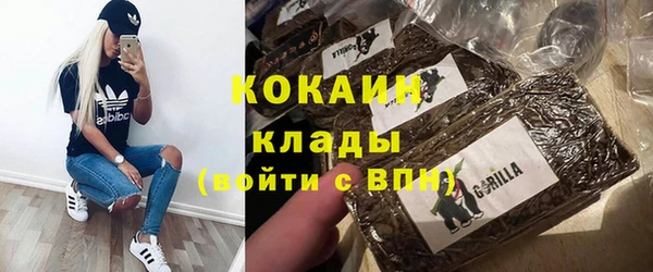 сатива Белокуриха