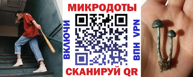 Галлюциногенные грибы прущие грибы нарко площадка официальный сайт Дагестанские Огни