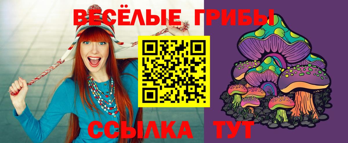 Псилоцибиновые грибы MAGIC MUSHROOMS Дагестанские Огни