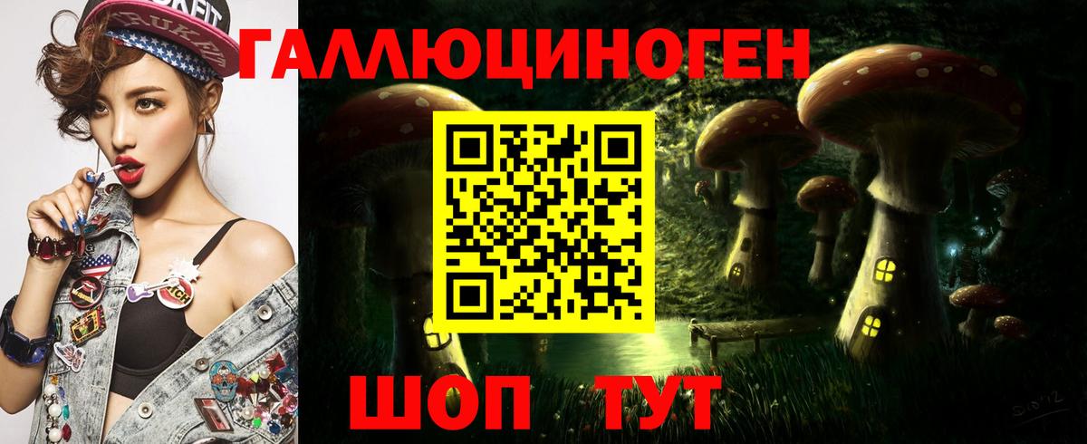Псилоцибиновые грибы Psilocybine cubensis  Галлюциногенные грибы мухоморы  Вход с VPN  Дагестанские Огни 